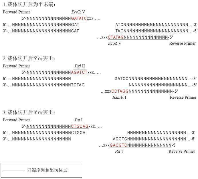 引物設(shè)計(jì)
