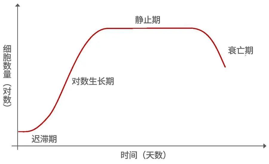 細(xì)胞生長曲線