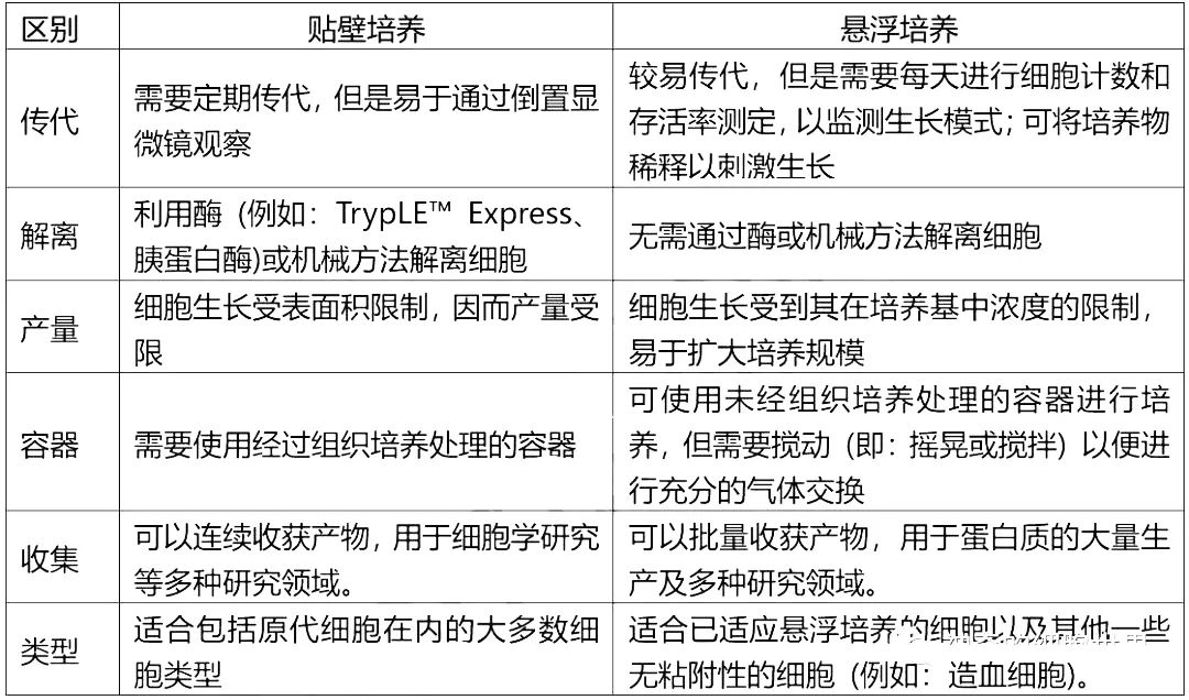 貼壁培養(yǎng)和懸浮培養(yǎng)